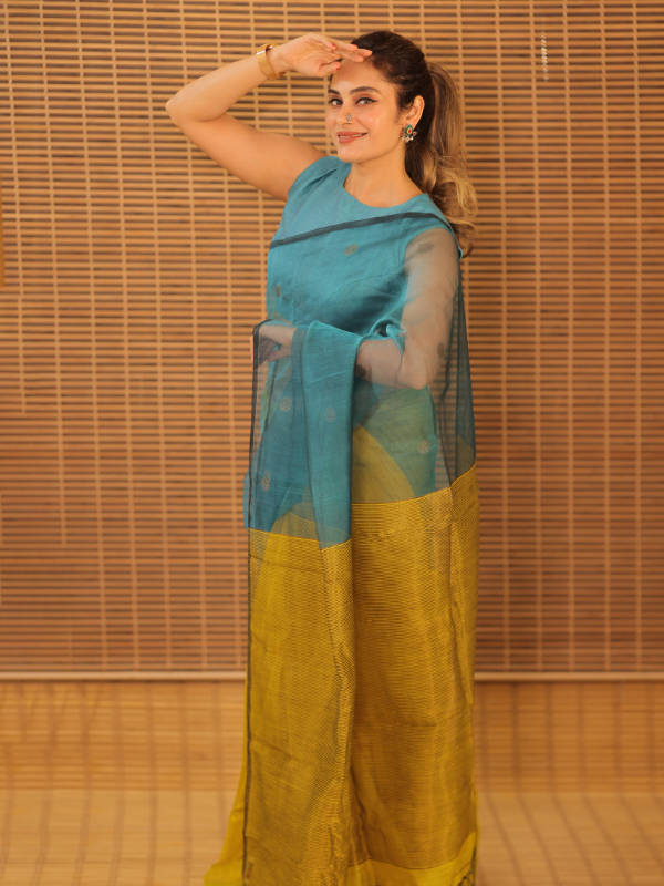 Maharani Mumtaz (handloom muslin silk)