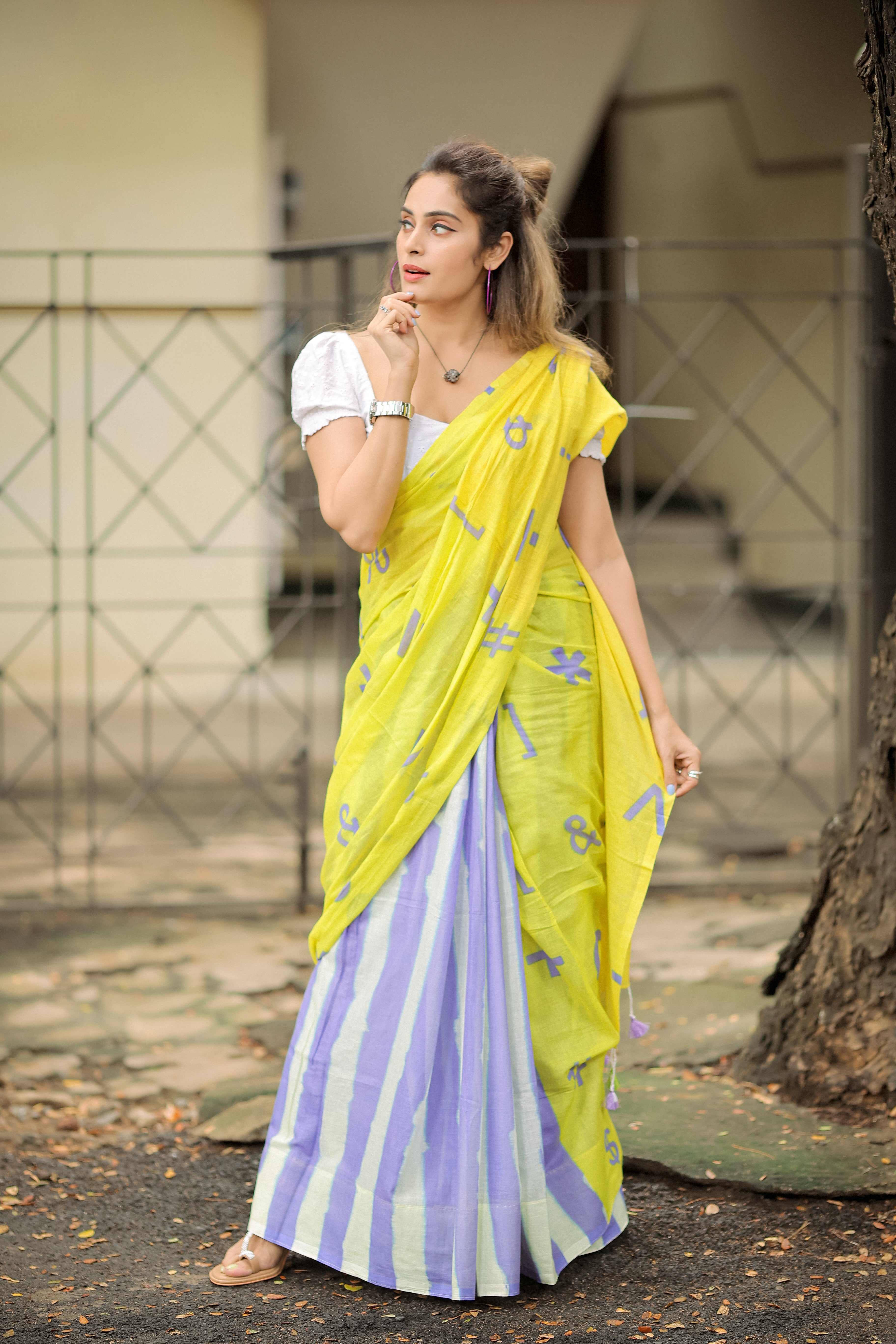 Winged Wonder (Mul Mul Printed Sarees)