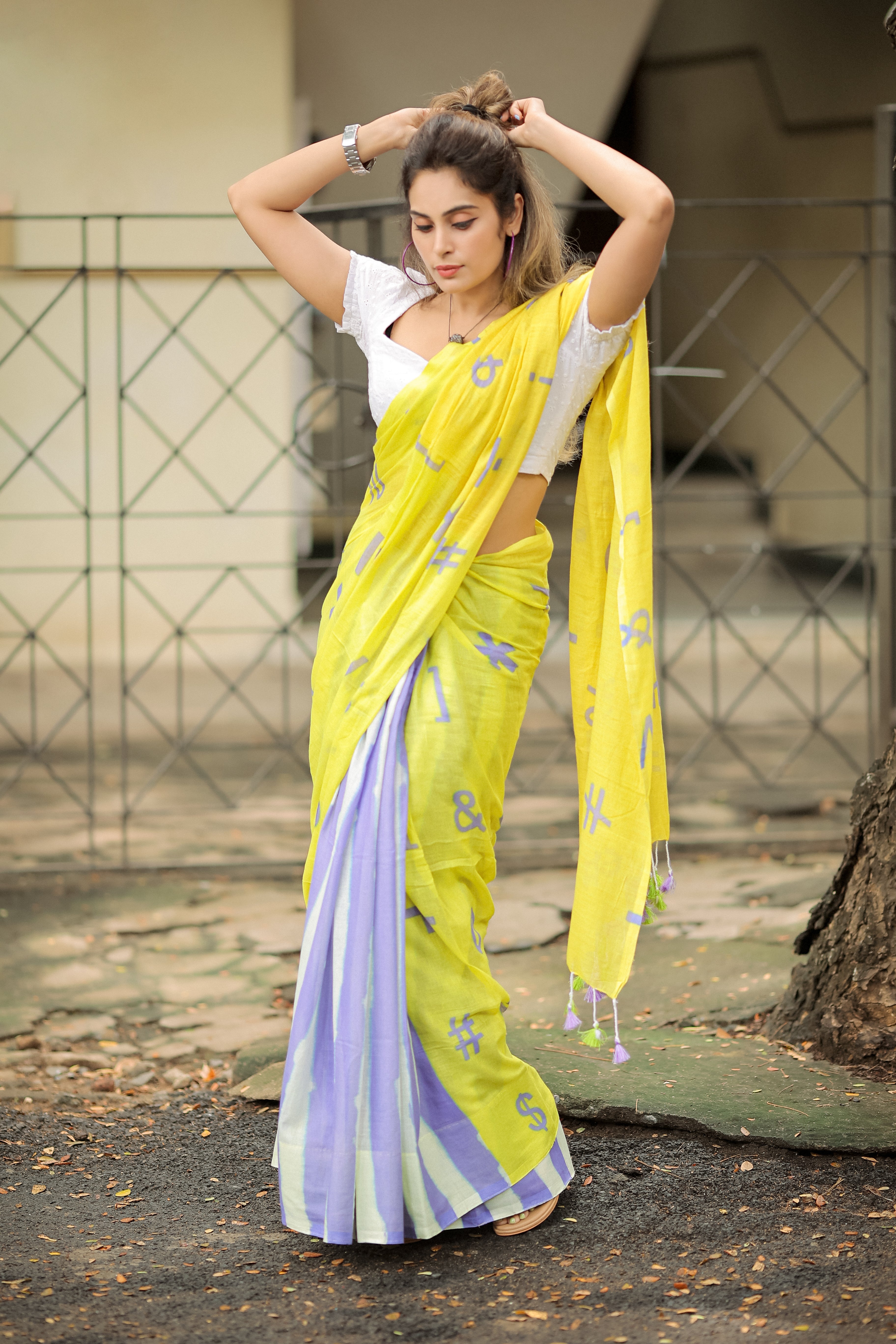 Winged Wonder (Mul Mul Printed Sarees)