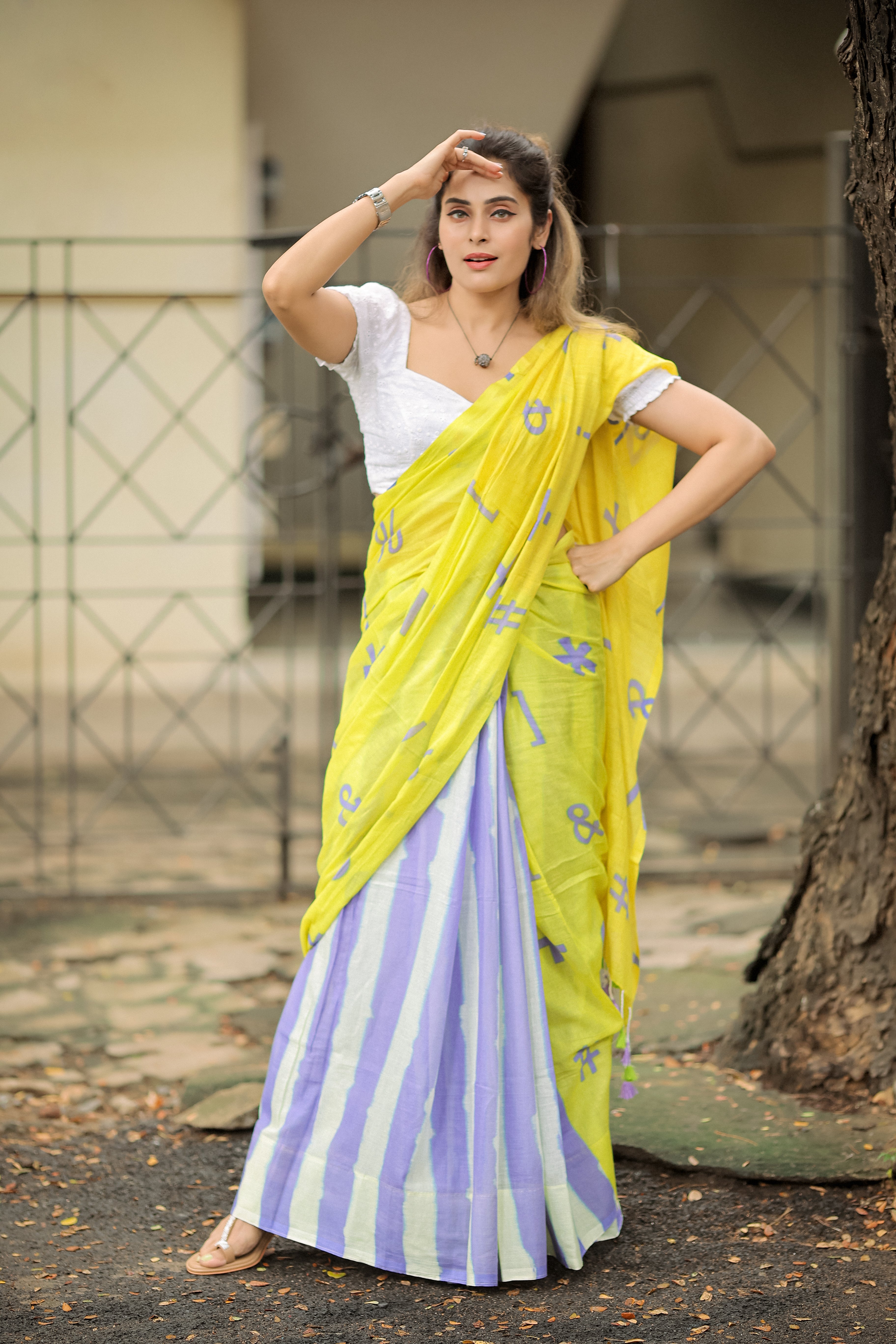 Winged Wonder (Mul Mul Printed Sarees)